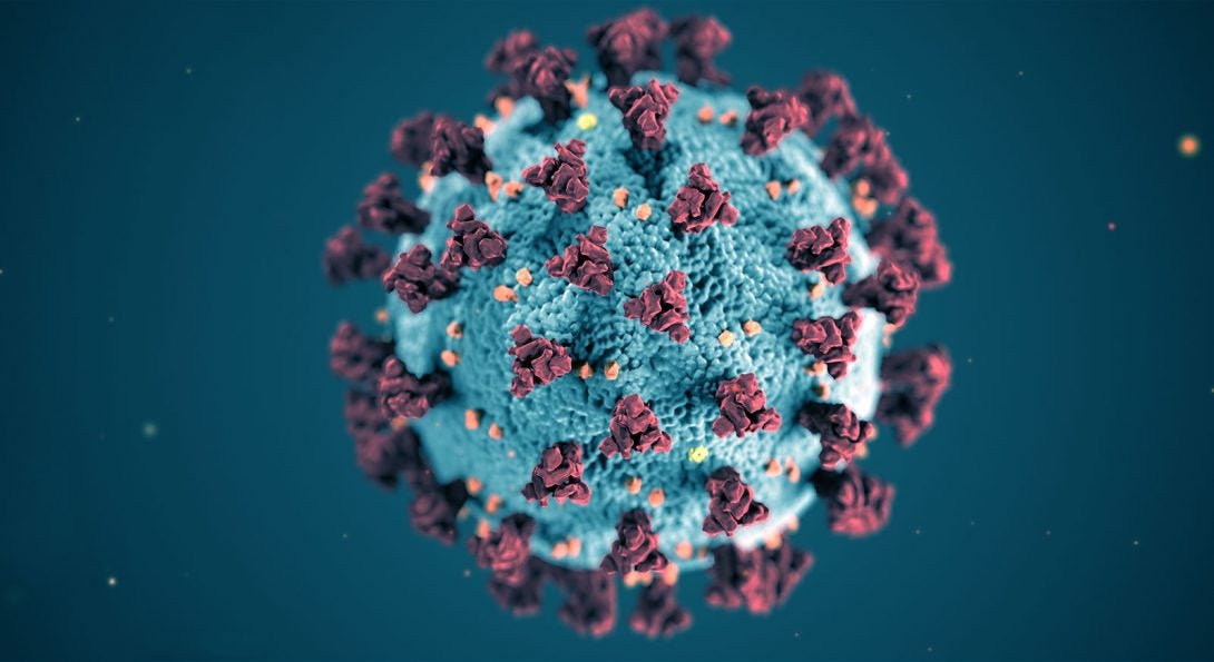 COVID-19 virus